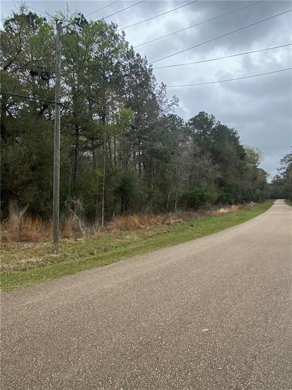 0 Birch Drive Folsom, LA 70437 - Photo 3 of 4