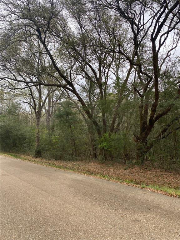 0 Birch Drive Folsom, LA 70437 - Photo 4 of 4