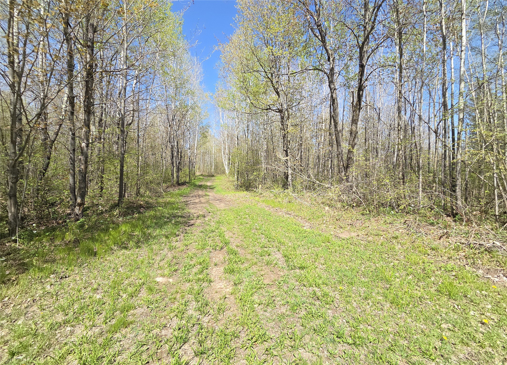 Off Hay Creek Road Prentice, WI 54556 - Photo 9 of 44