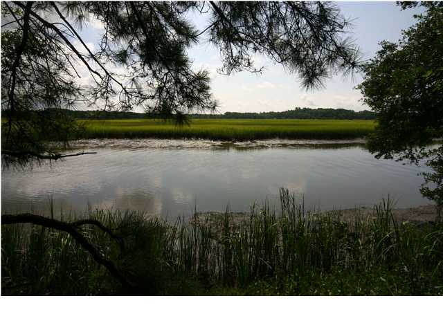 8914 Sandy Creek Road Edisto Island, SC 29438 - Photo 2 of 4 Additional Photo