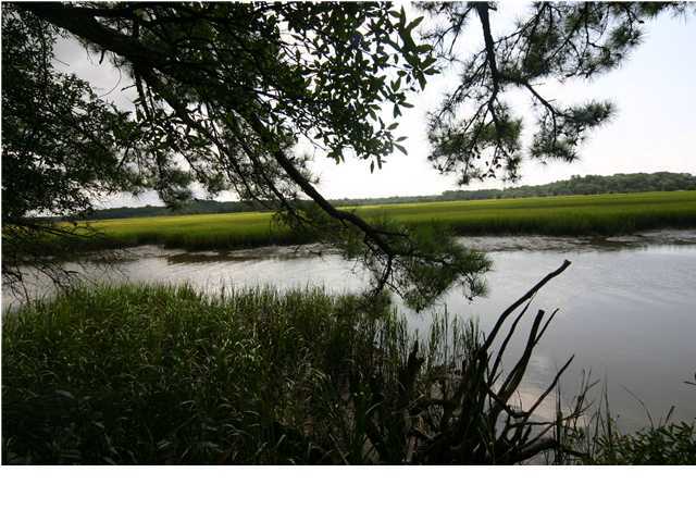 8914 Sandy Creek Road Edisto Island, SC 29438 - Photo 3 of 4 Additional Photo