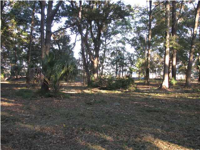 8914 Sandy Creek Road Edisto Island, SC 29438 - Photo 4 of 4 Additional Photo