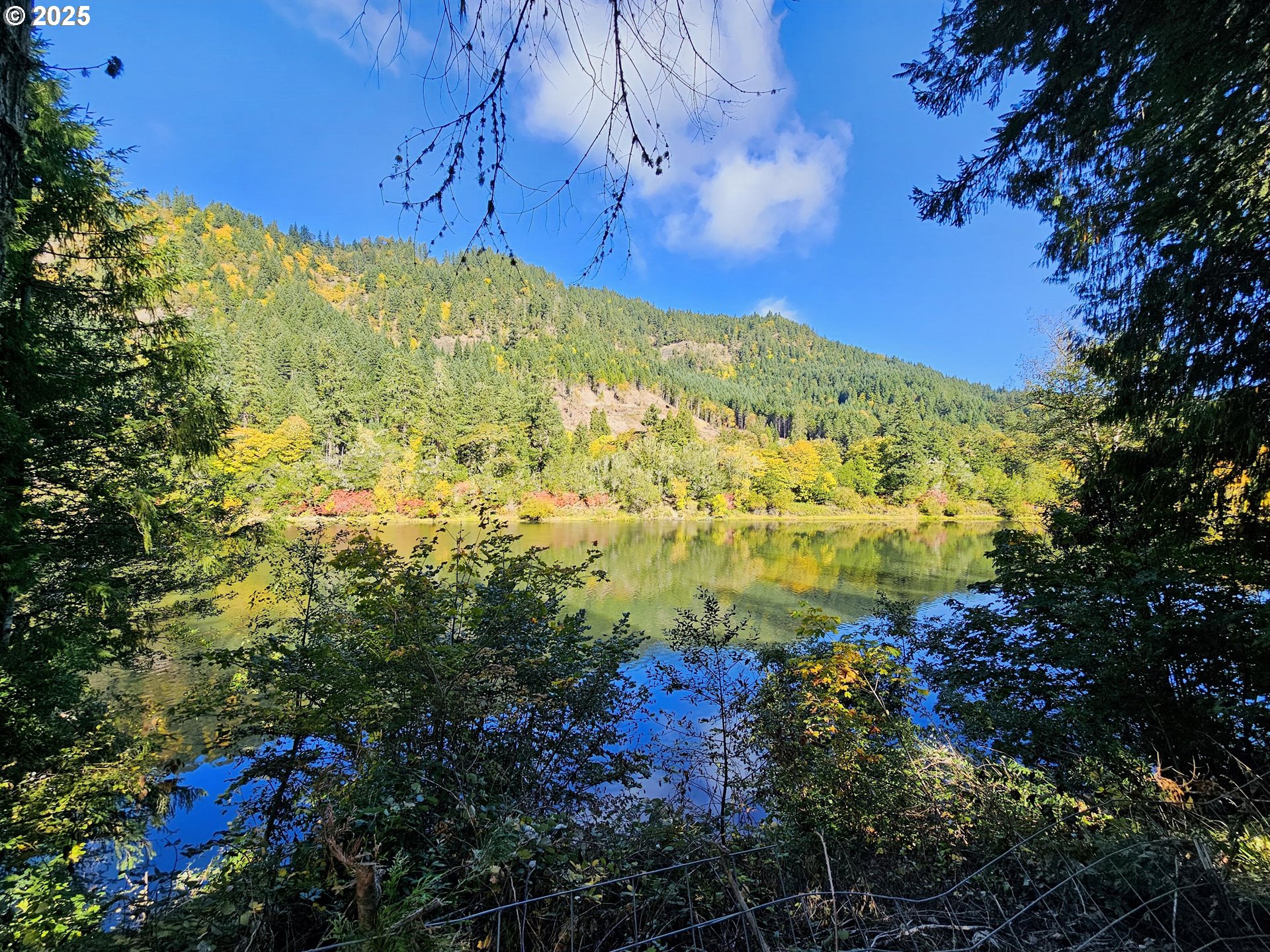 3463 Briarwood Road Umpqua, OR 97486 - Photo 17 of 29 a view of a yard