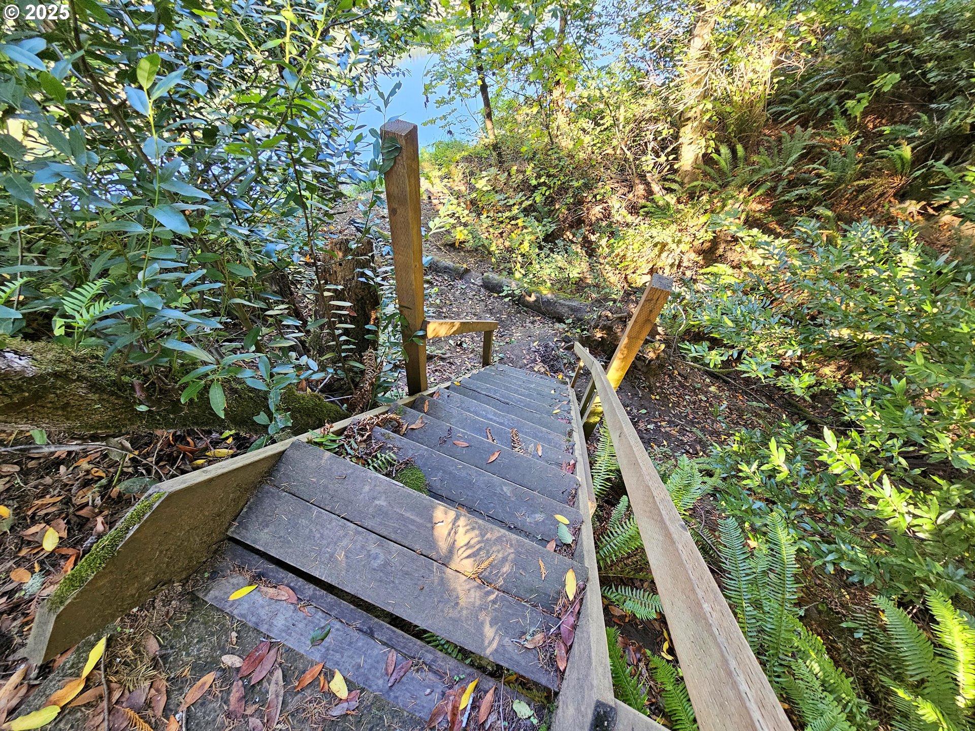 3463 Briarwood Road Umpqua, OR 97486 - Photo 19 of 29 a view of a yard with chairs