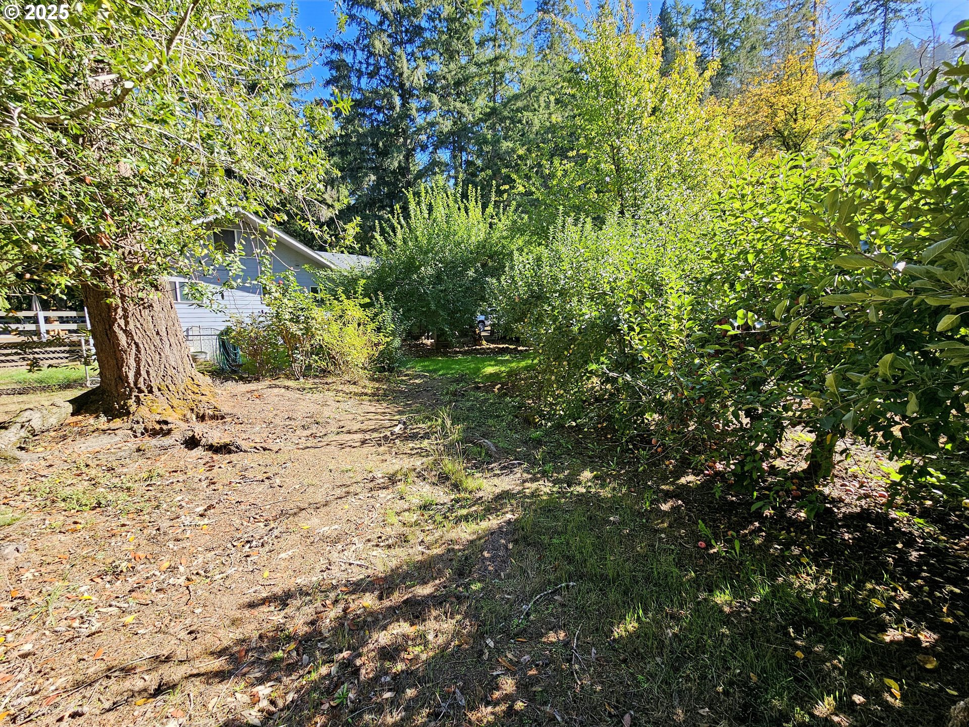 3463 Briarwood Road Umpqua, OR 97486 - Photo 25 of 29 a view of a yard with plants and trees