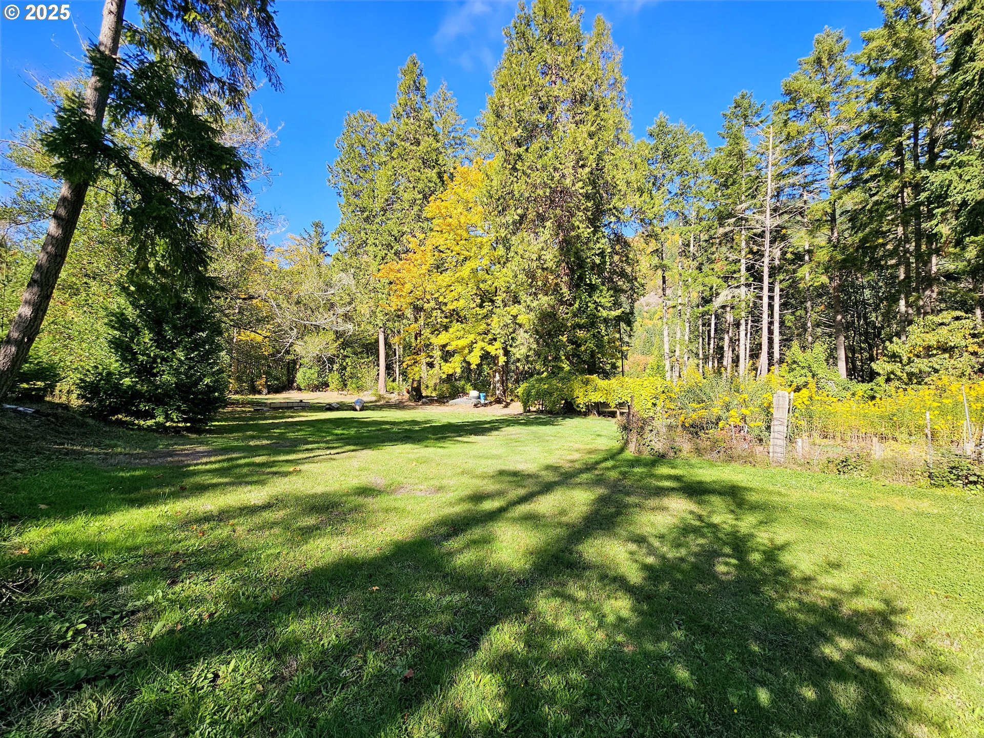 3463 Briarwood Road Umpqua, OR 97486 - Photo 27 of 29 a view of swimming pool with a garden