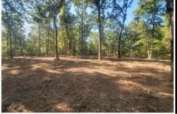 $150,000 | Tbd Whisper Trail, Birchwood, WI 54817