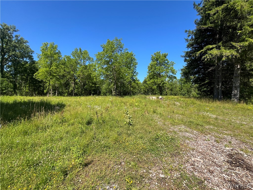 4880 Ransom Road Clarence, NY 14031 - Photo 38 of 42 Gallery Image 38