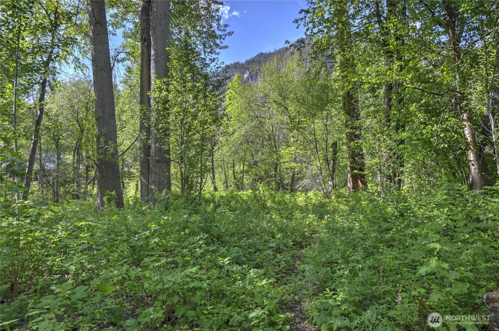 19 2 Rivers Road Mazama, WA 98833 - Photo 40 of 40