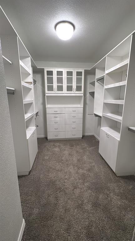 3112 Kingsgarden Road Denton, TX 76207 - Photo 12 of 19 Custom Master CLoset