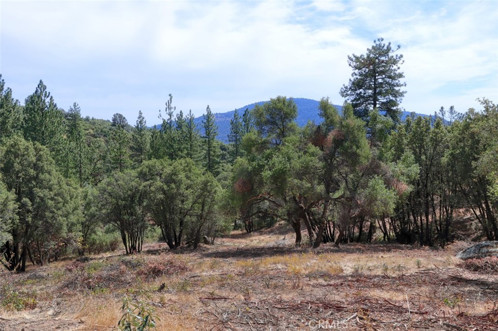 2232 Sunset Drive Mariposa, CA 95338 - Photo 11 of 26