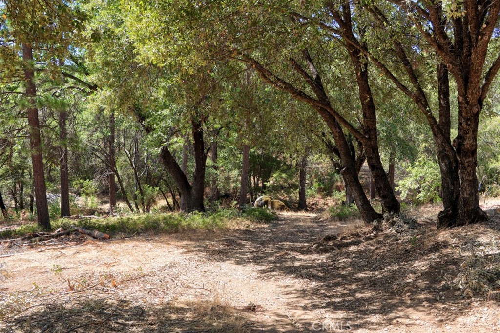 2232 Sunset Drive Mariposa, CA 95338 - Photo 12 of 26