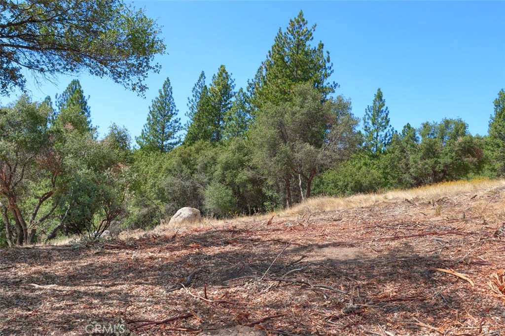 2232 Sunset Drive Mariposa, CA 95338 - Photo 14 of 26