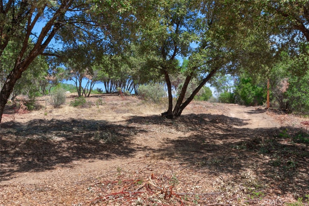 2232 Sunset Drive Mariposa, CA 95338 - Photo 18 of 26