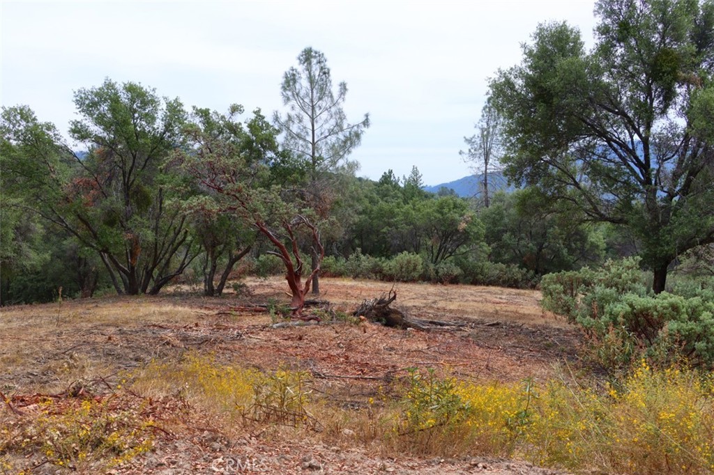 2232 Sunset Drive Mariposa, CA 95338 - Photo 19 of 26