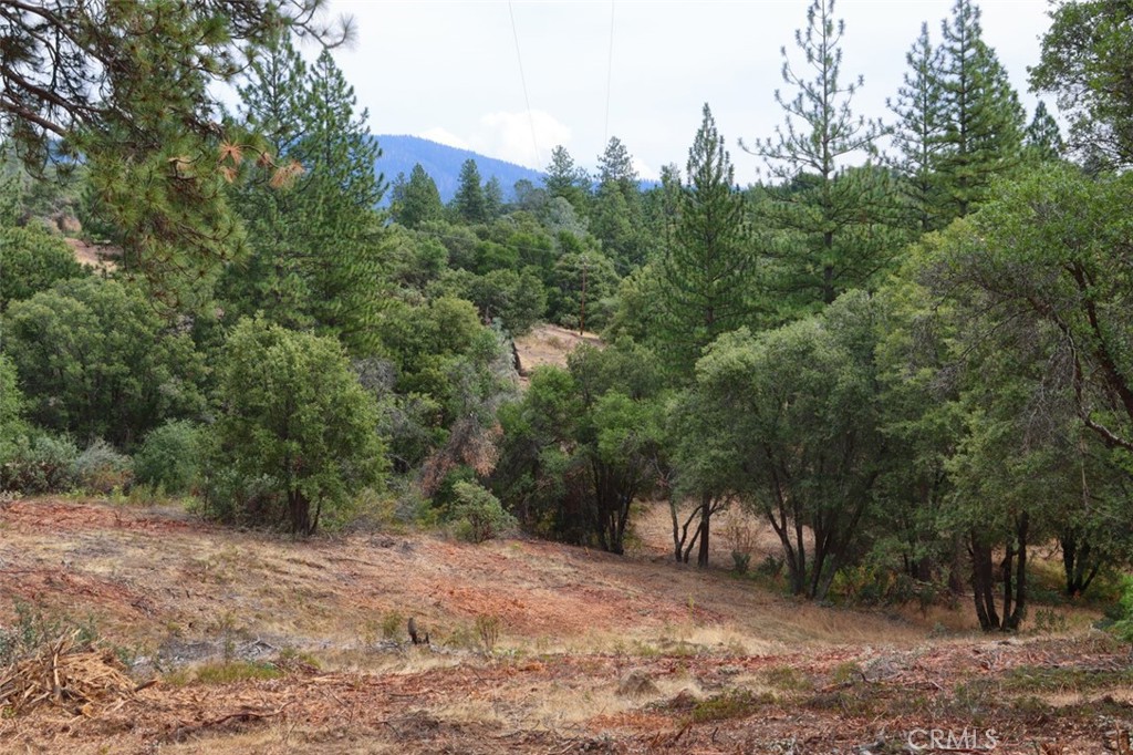 2232 Sunset Drive Mariposa, CA 95338 - Photo 21 of 26