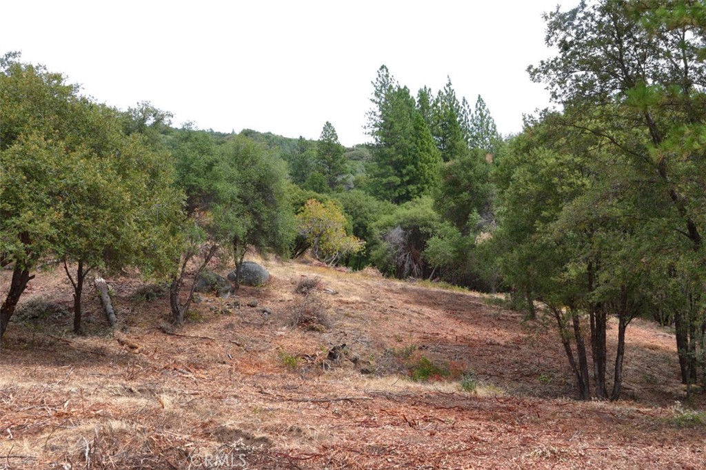 2232 Sunset Drive Mariposa, CA 95338 - Photo 24 of 26