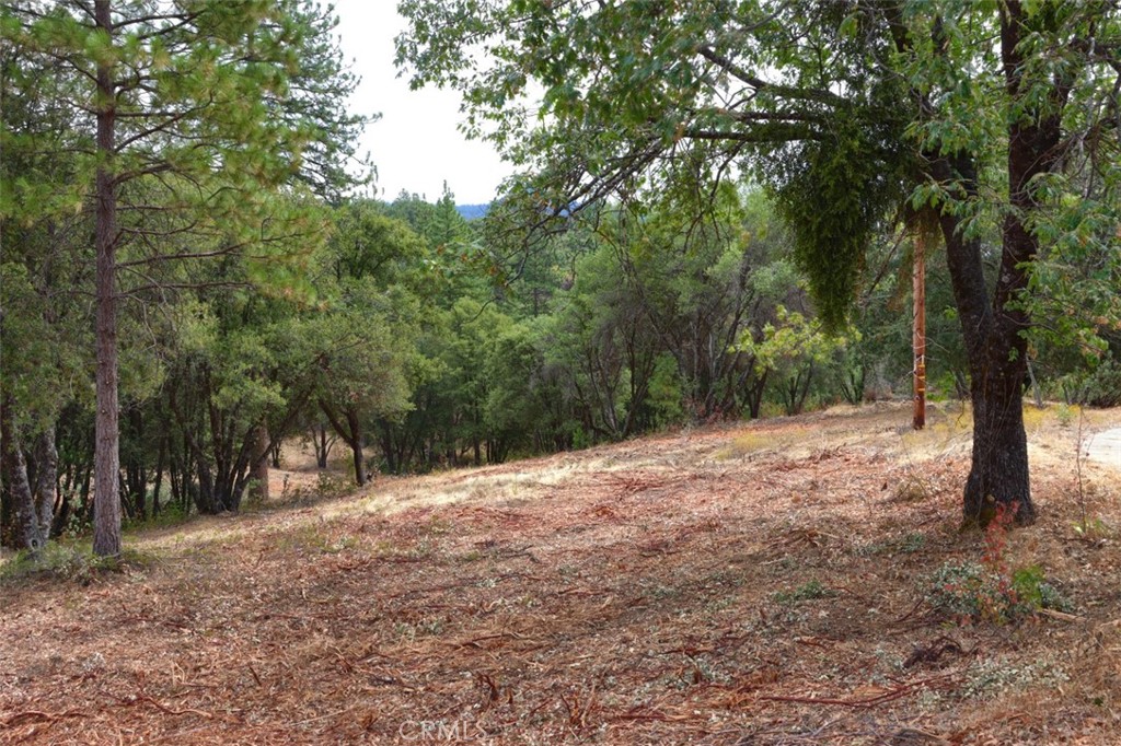 2232 Sunset Drive Mariposa, CA 95338 - Photo 25 of 26