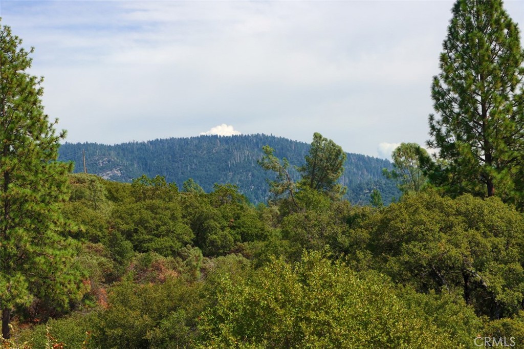 2232 Sunset Drive Mariposa, CA 95338 - Photo 8 of 26