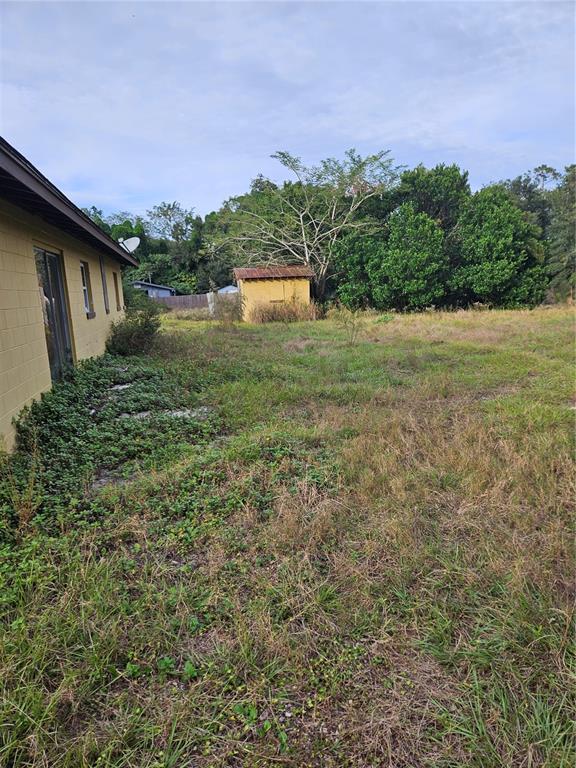 815 Snow Hill Road Geneva, FL 32732 - Photo 8 of 22 Gallery Image 8