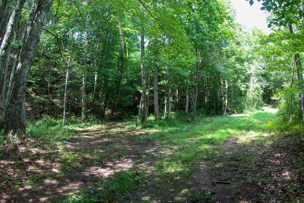 0 Morrison Lane Stuart, VA 24171 - Photo 13 of 24 Gallery Image 13