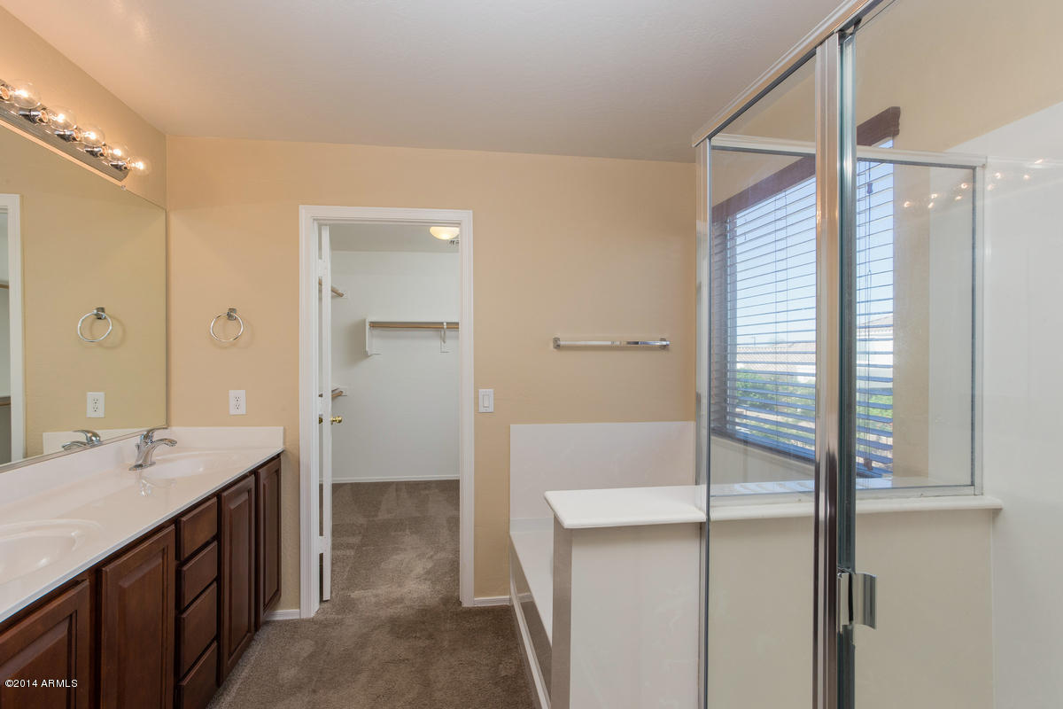 14212 West Calavar Road Surprise, AZ 85379 - Photo 13 of 15 master bath