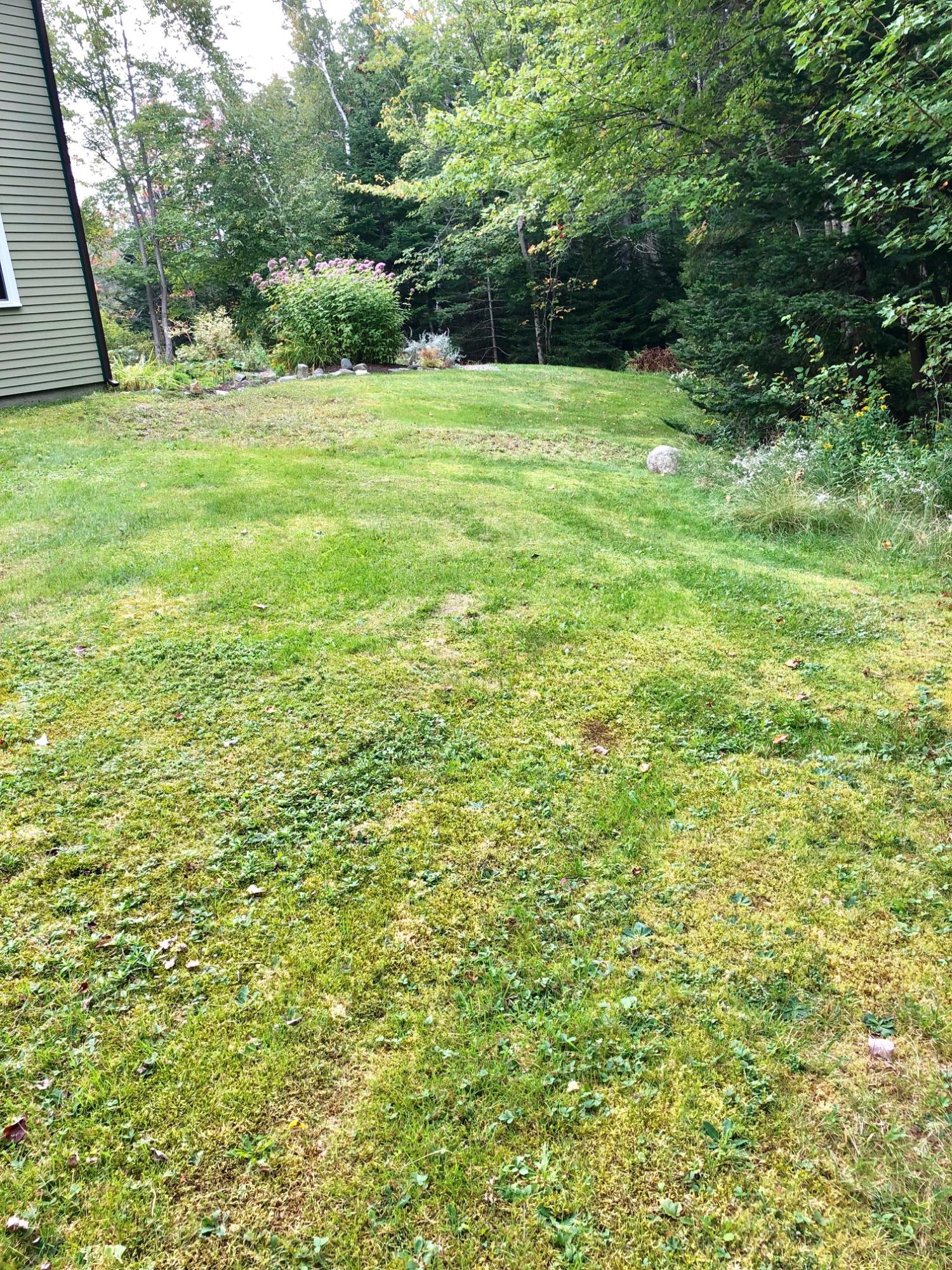 24 Ledges Road Bass Harbor, ME 04653 - Photo 51 of 61 Back yard