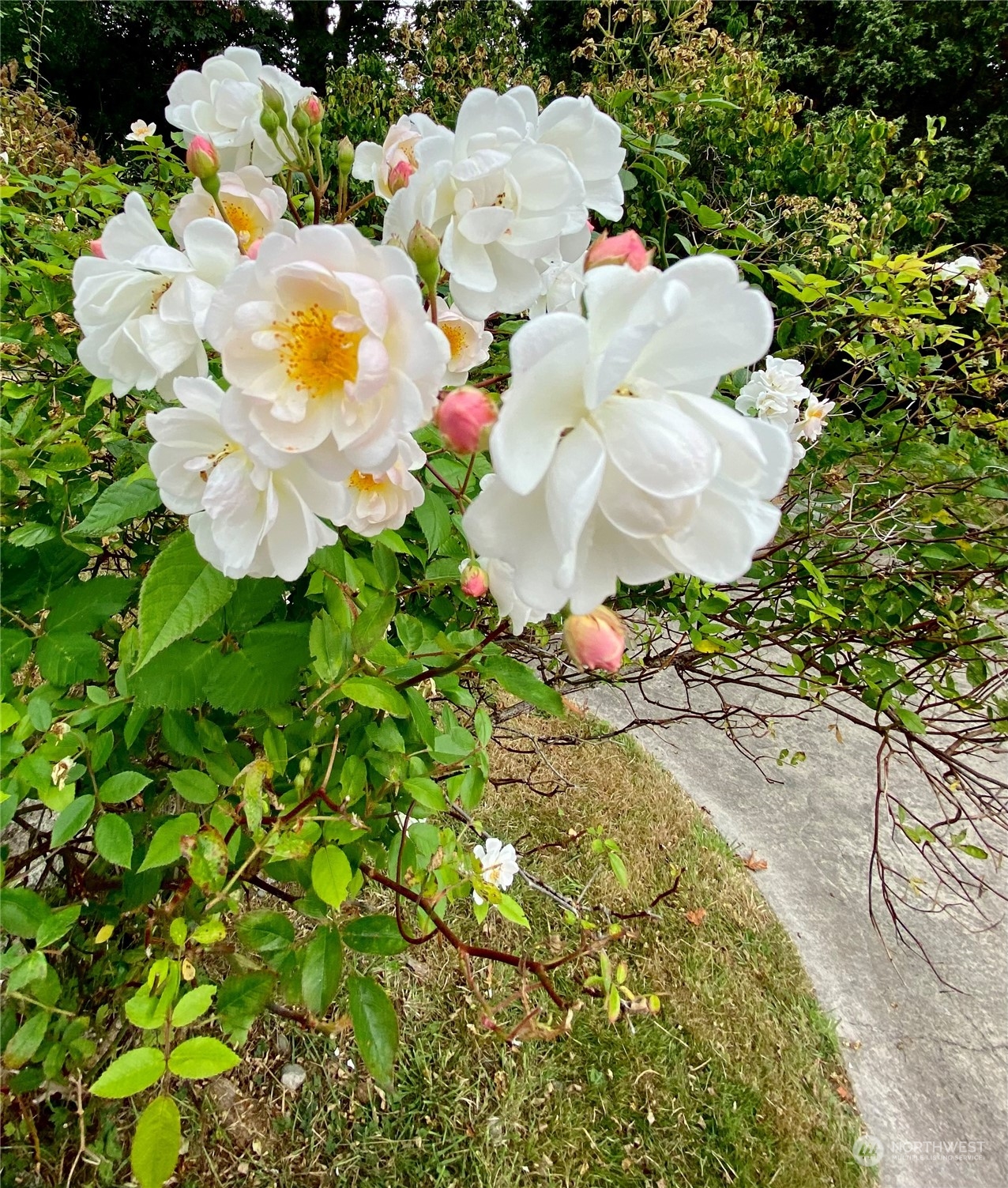 5059 Jones Road Oak Harbor, WA 98277 - Photo 17 of 40 Gallery Image 17