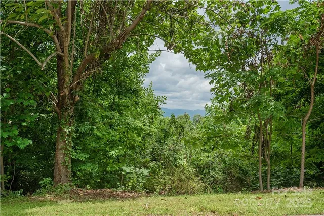an aerial view of residential house with outdoor space and trees all around