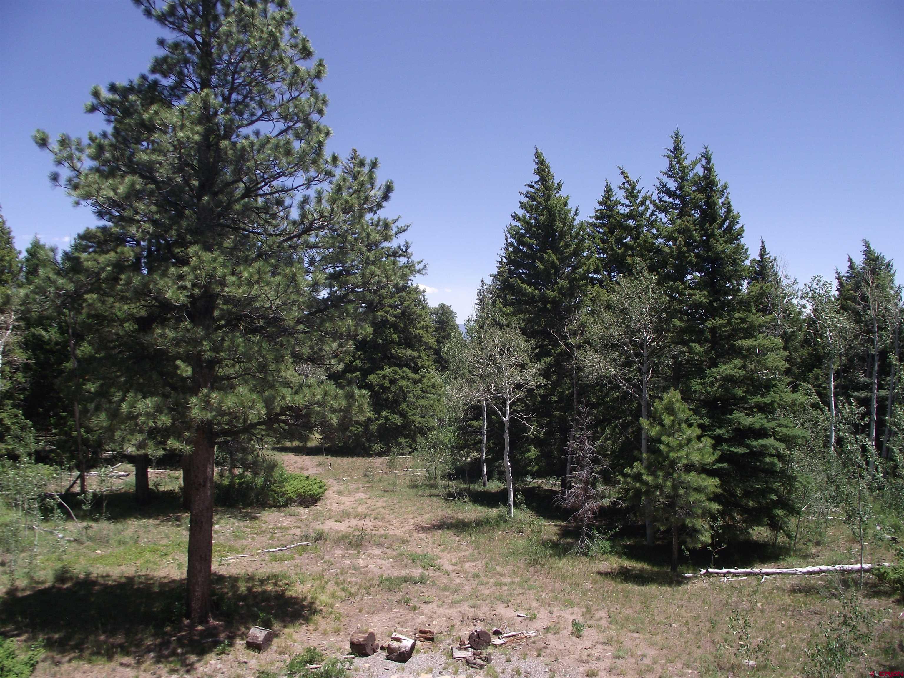 15283 Spring Creek Road Montrose, CO 81403 - Photo 29 of 40