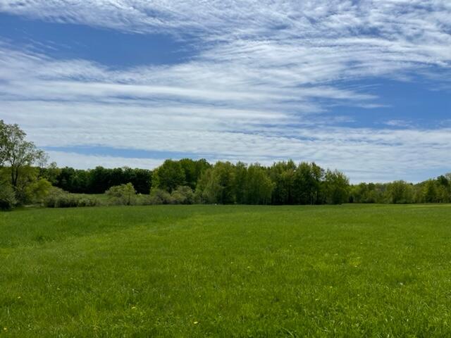 5120 South Deer Lake Road Reed City, MI 49677 - Photo 12 of 14 IMG_4644