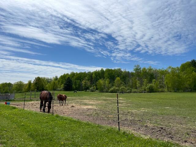 5120 South Deer Lake Road Reed City, MI 49677 - Photo 5 of 14 IMG_4640