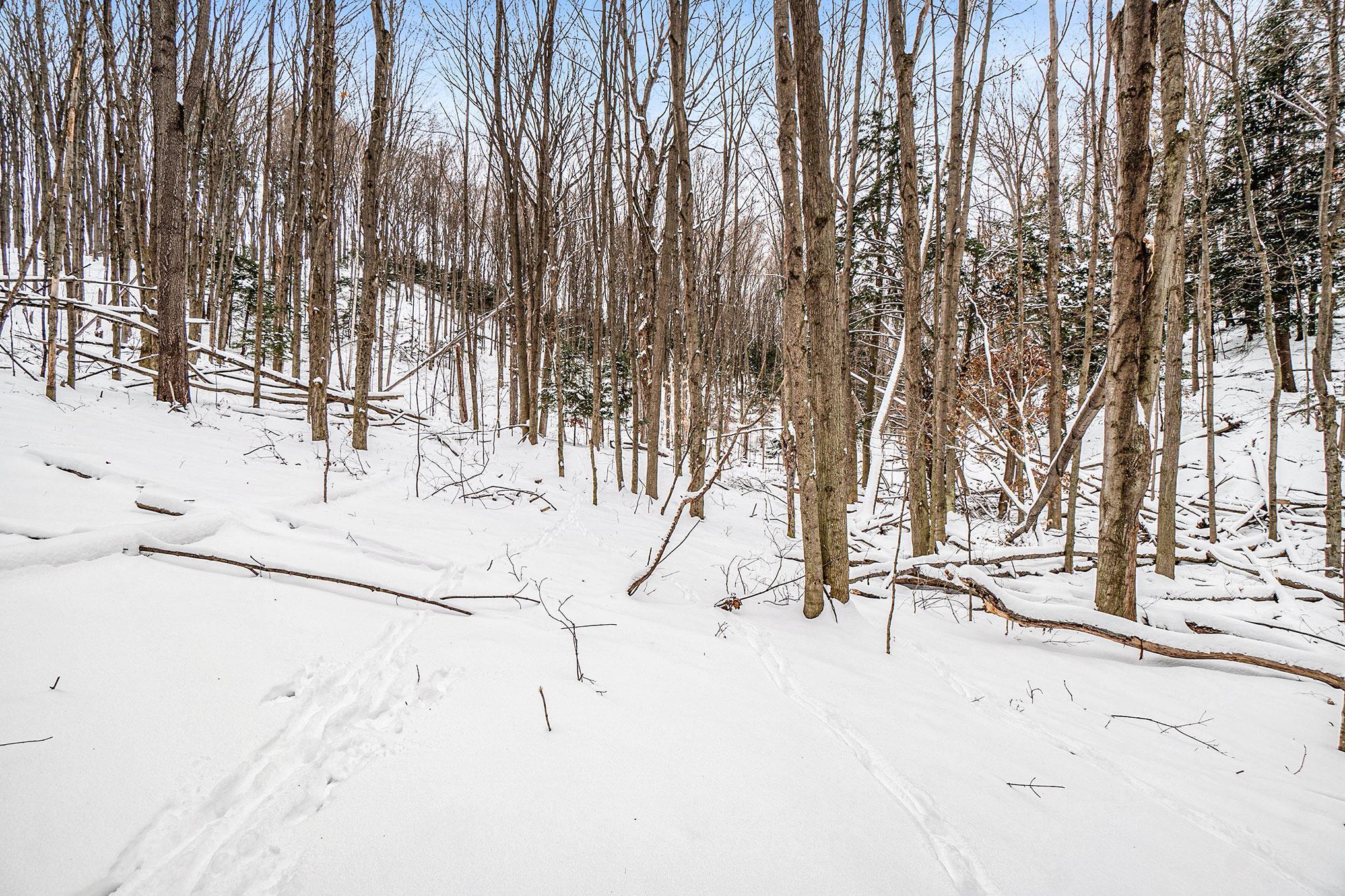1180 Forrester Road Frankfort, MI 49635 - Photo 4 of 13