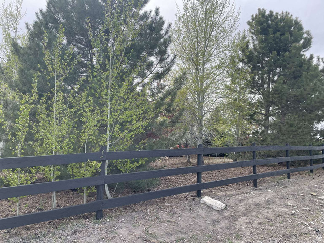 7030 West 2100 North Mendon, UT 84325 - Photo 7 of 67 Black three-rail perimeter fence bordering a wooded area with varied tree species