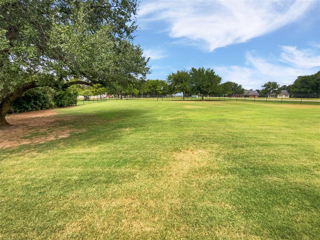 2214 Tree Top Court Granbury, TX 76049 - Photo 22 of 23