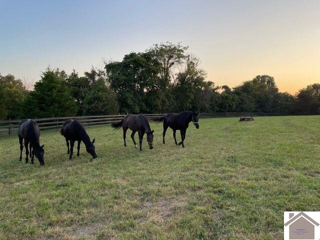 782 Bid Southern Road Tiline, KY 42083 - Photo 26 of 47 Horse pasture