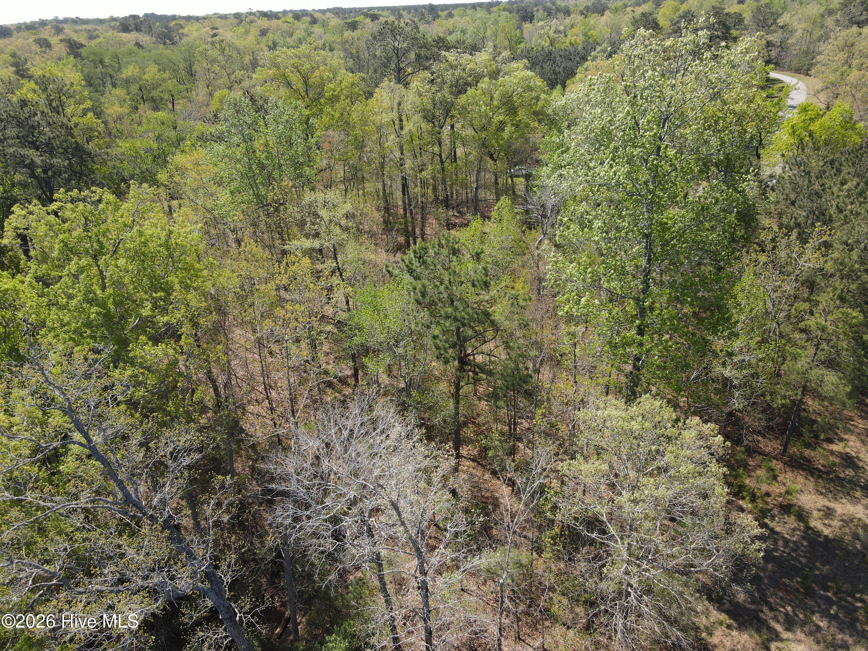 Lot 9 Riversedge Drive Winton, NC 27986 - Photo 6 of 6 lt9&10 (2)