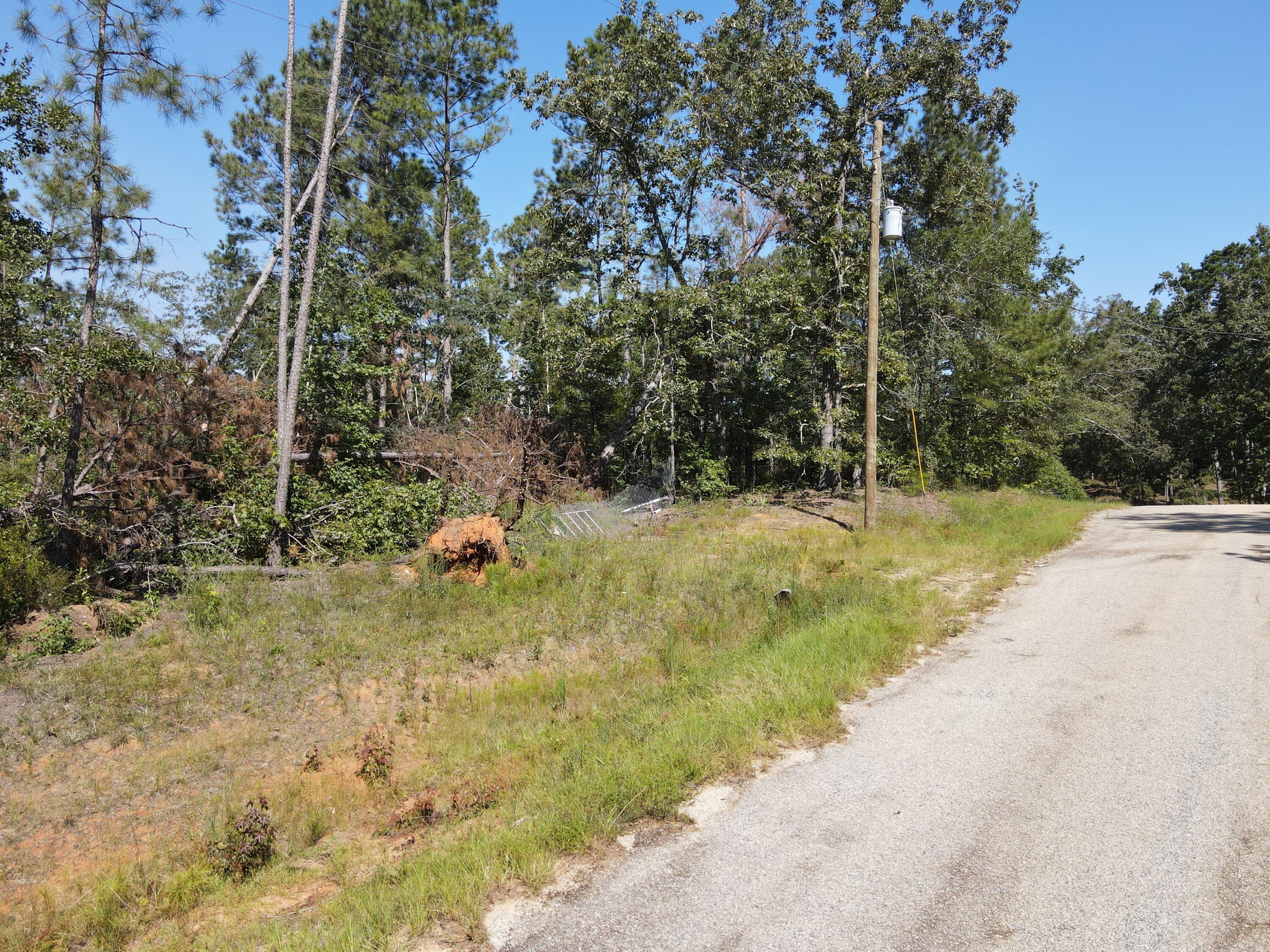 11-c & 12c Mini Farms Road Hephzibah, GA 30815 - Photo 10 of 11 DJI_0932