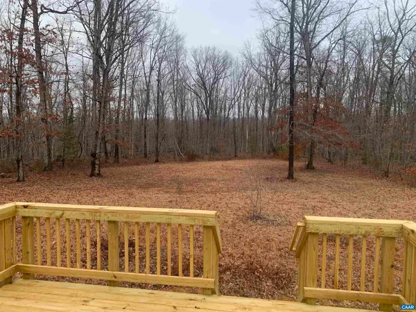 a view of a backyard with large trees