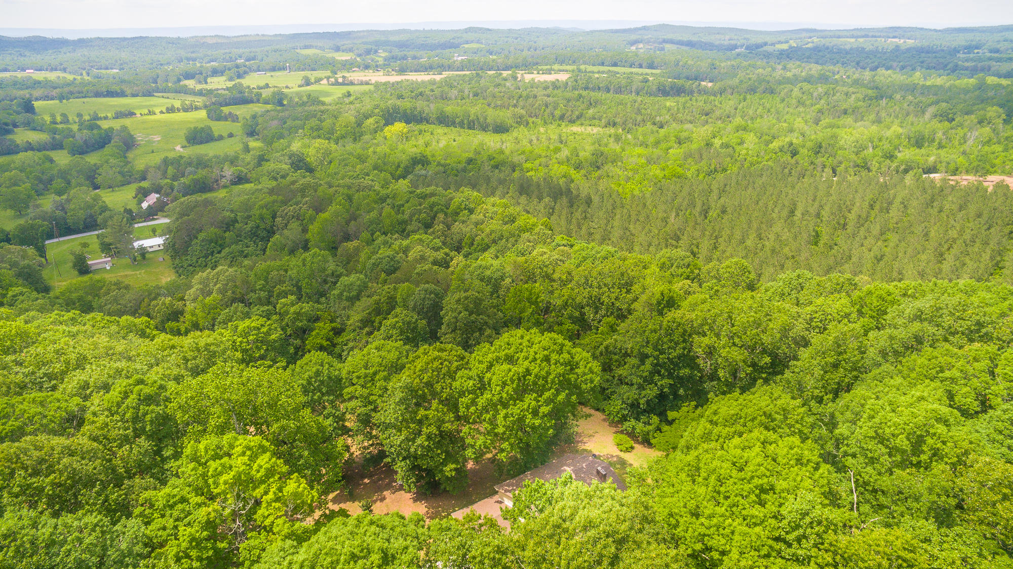 1656 Agency Creek Road Decatur, TN 37322 - Photo 44 of 72 1656 Mt. Carmel Road-71