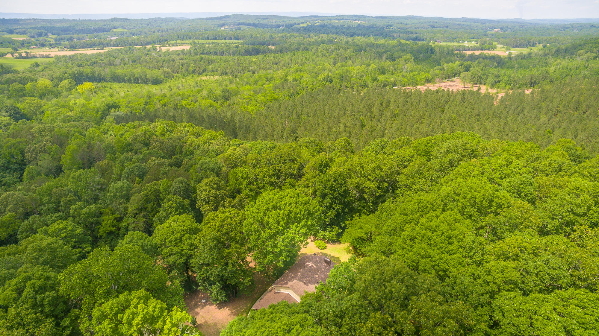 1656 Agency Creek Road Decatur, TN 37322 - Photo 45 of 72 1656 Mt. Carmel Road-72