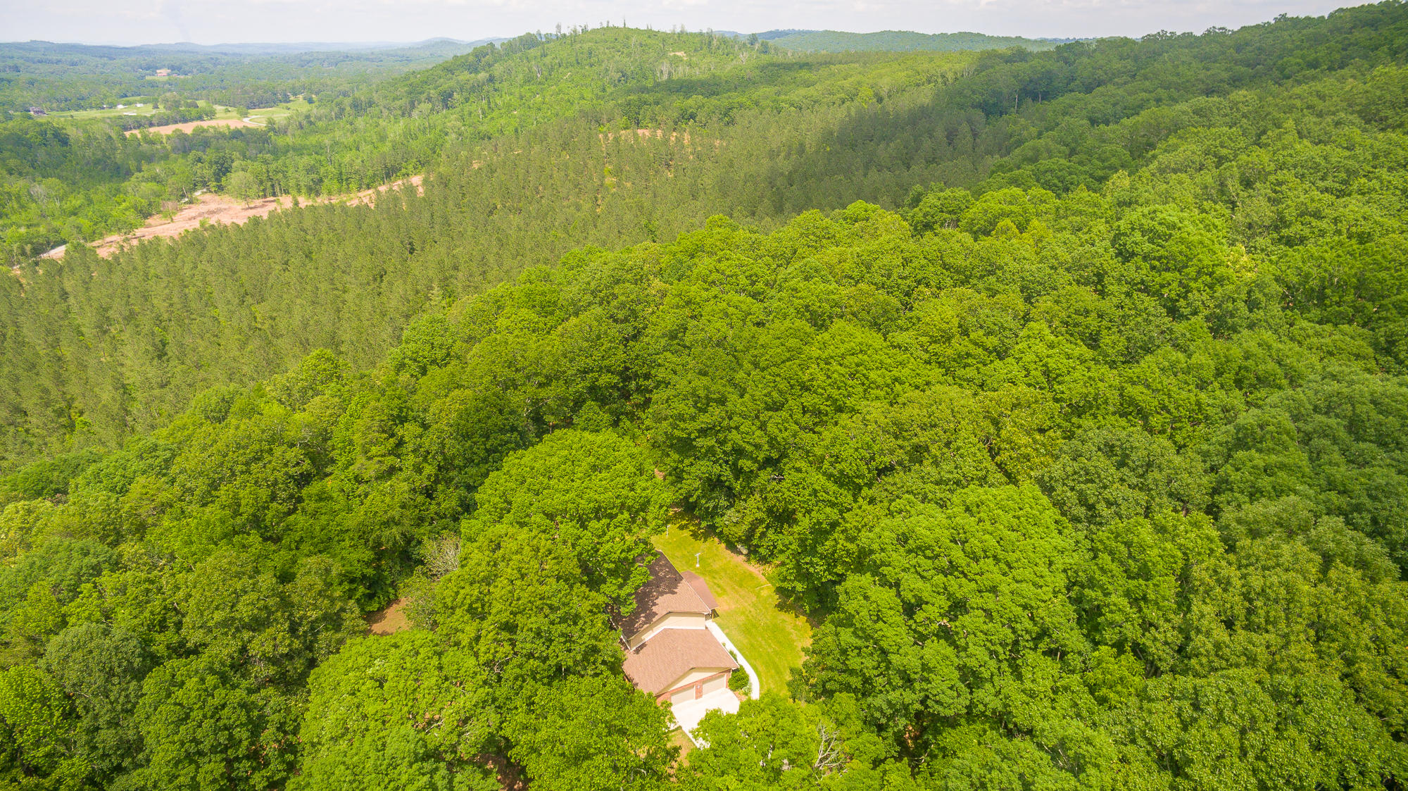 1656 Agency Creek Road Decatur, TN 37322 - Photo 46 of 72 1656 Mt. Carmel Road-75