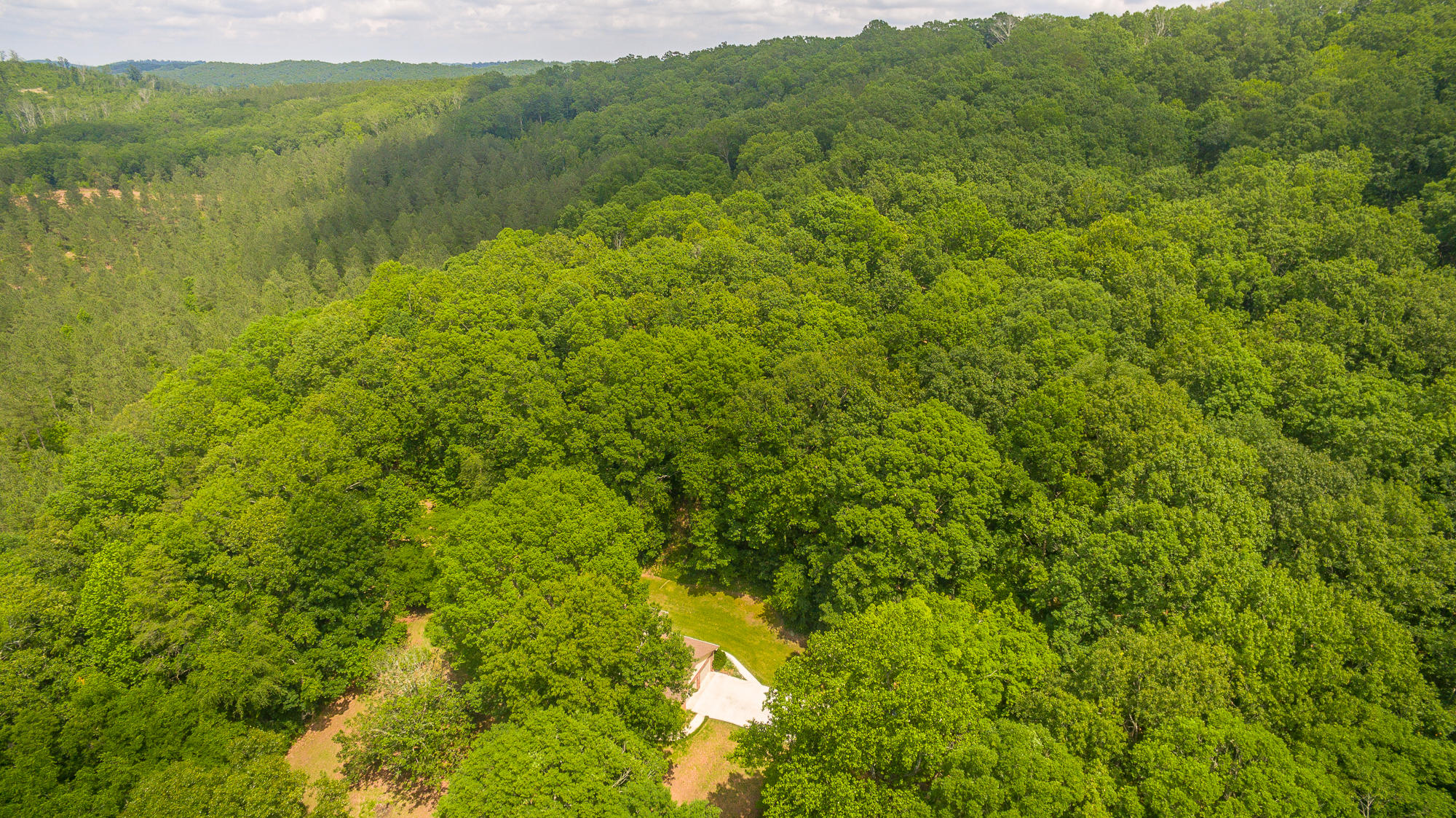 1656 Agency Creek Road Decatur, TN 37322 - Photo 47 of 72 1656 Mt. Carmel Road-76