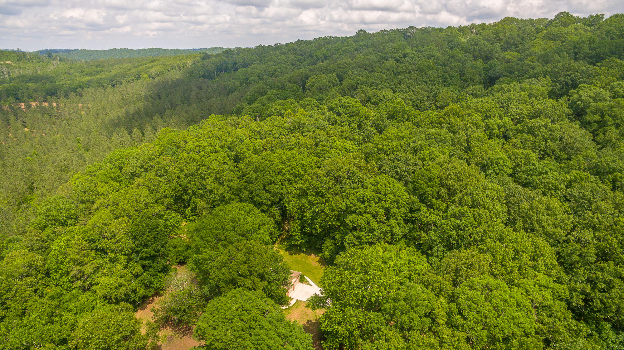 1656 Agency Creek Road Decatur, TN 37322 - Photo 48 of 72 1656 Mt. Carmel Road-77