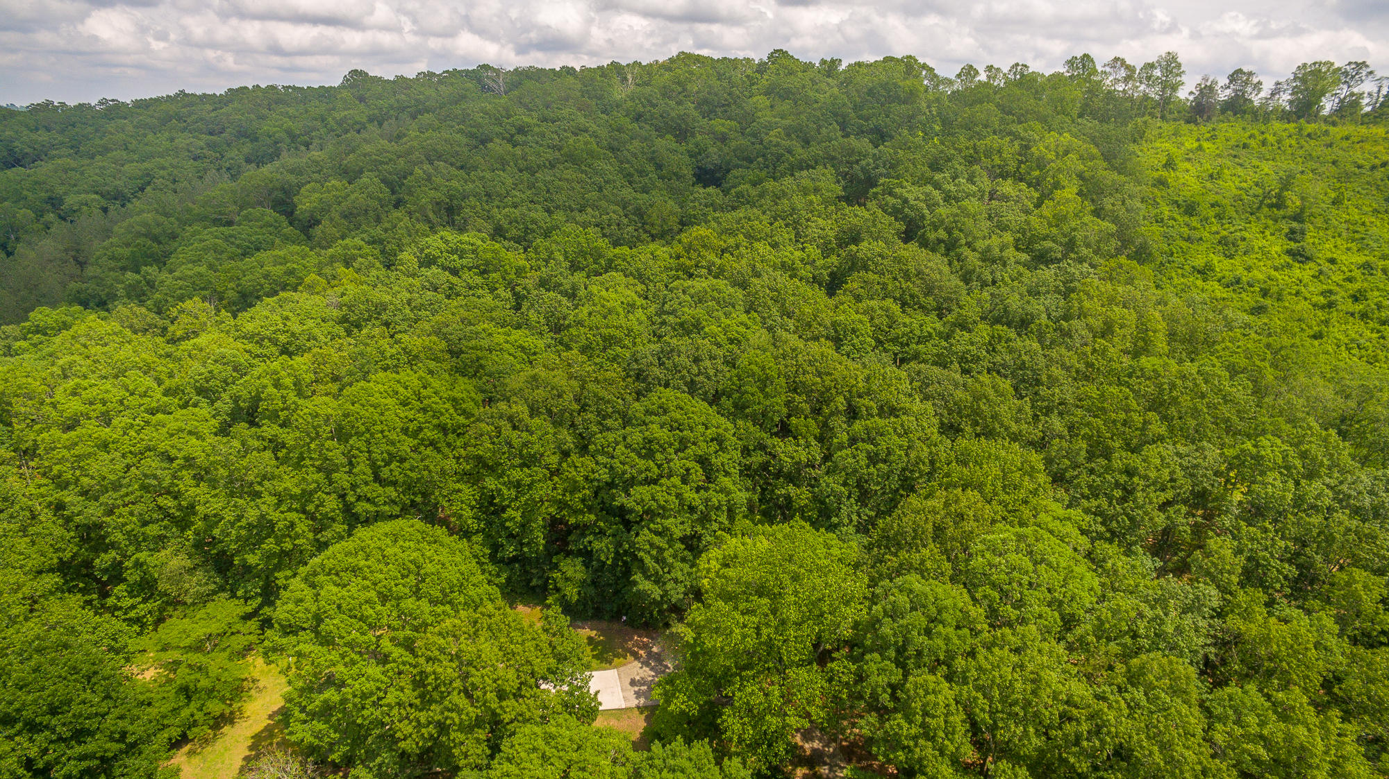 1656 Agency Creek Road Decatur, TN 37322 - Photo 49 of 72 1656 Mt. Carmel Road-78