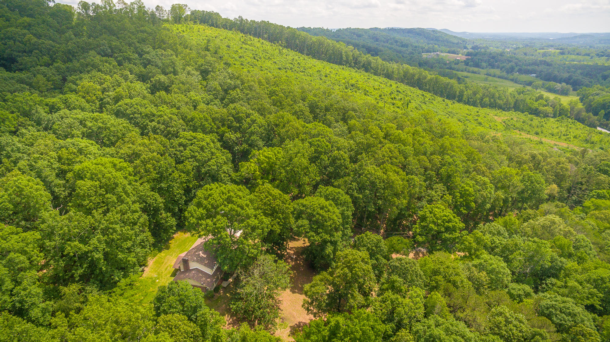 1656 Agency Creek Road Decatur, TN 37322 - Photo 50 of 72 1656 Mt. Carmel Road-79