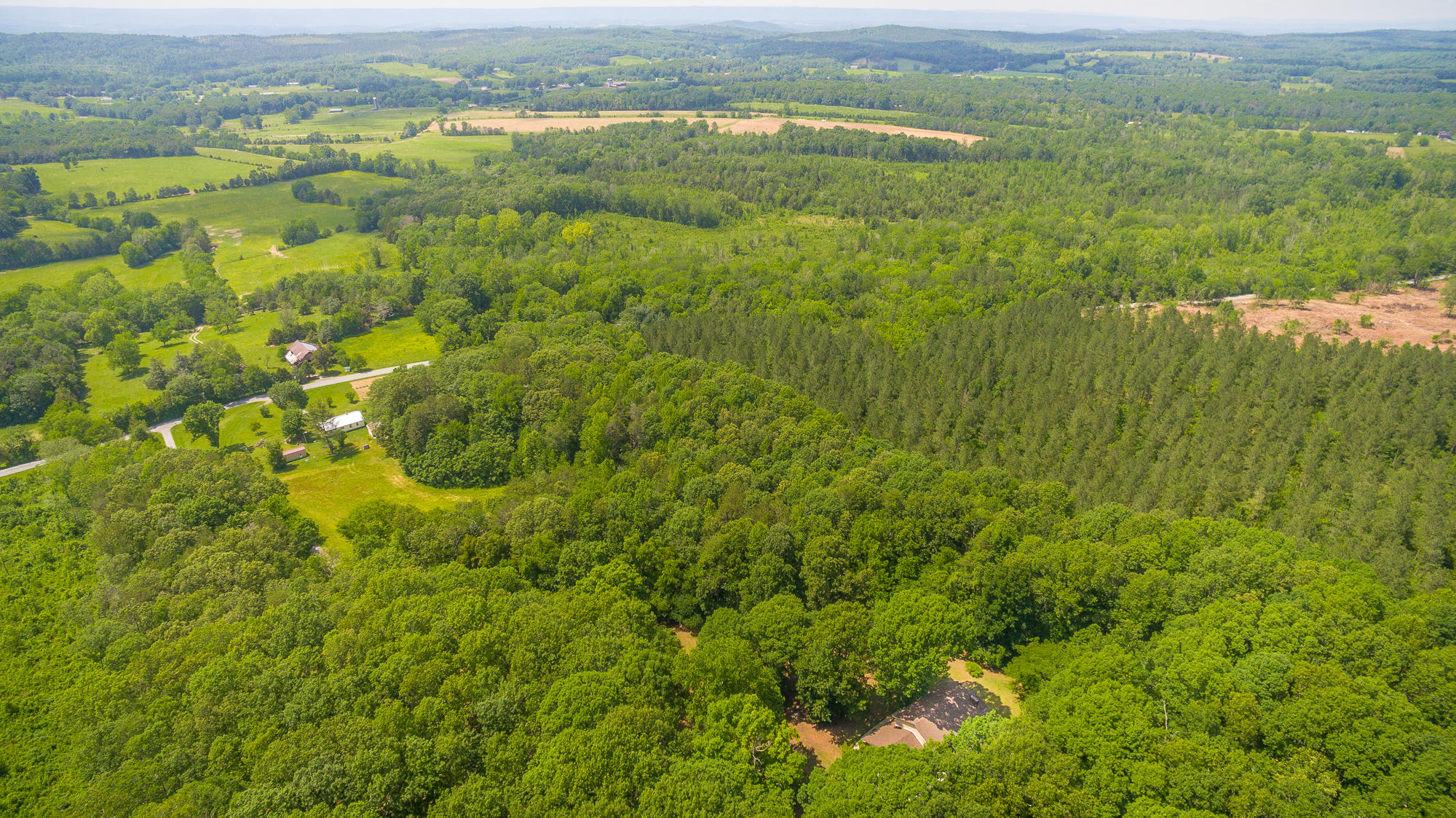 1656 Agency Creek Road Decatur, TN 37322 - Photo 64 of 72 1656 Mt. Carmel Road-103