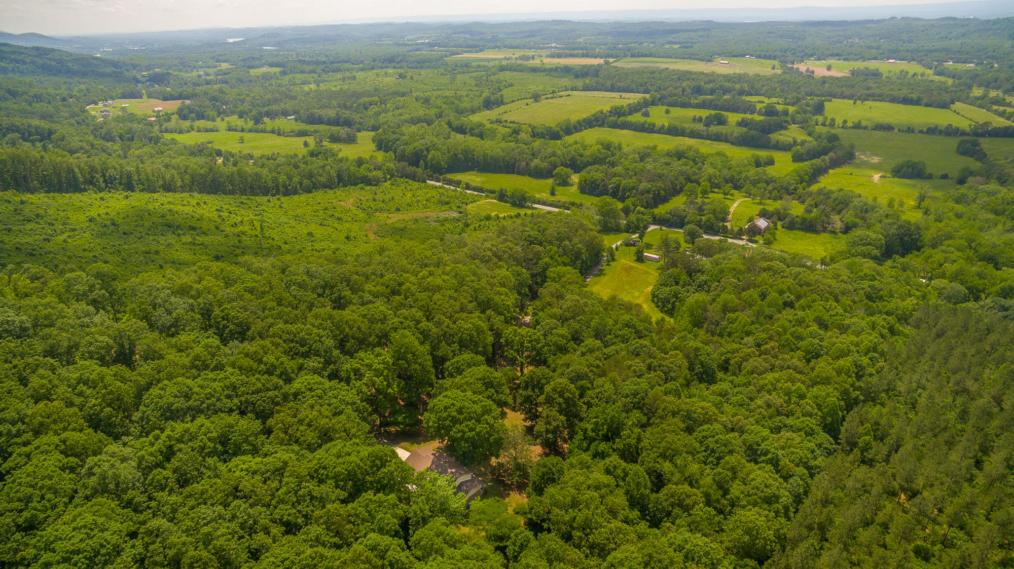 1656 Agency Creek Road Decatur, TN 37322 - Photo 66 of 72 1656 Mt. Carmel Road-105