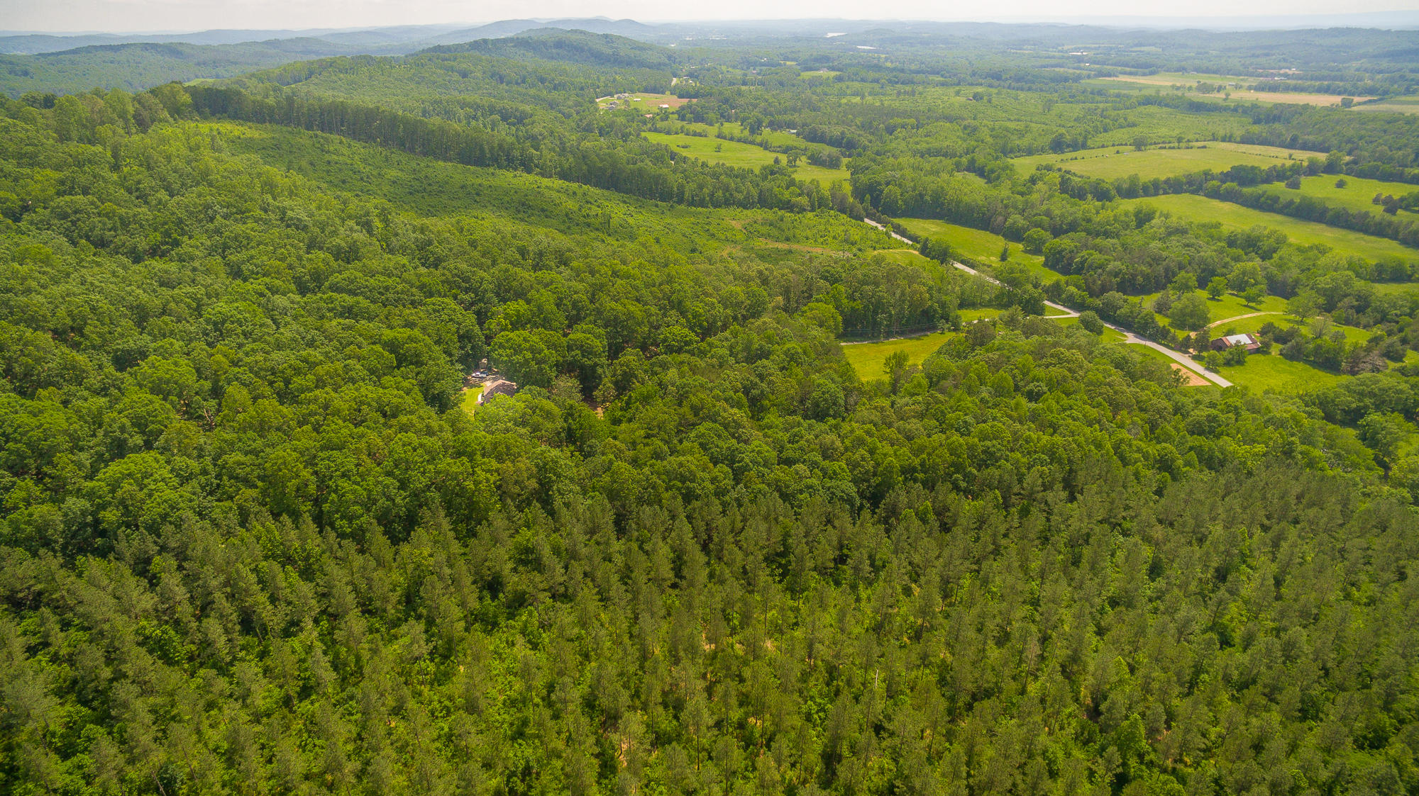 1656 Agency Creek Road Decatur, TN 37322 - Photo 68 of 72 1656 Mt. Carmel Road-107