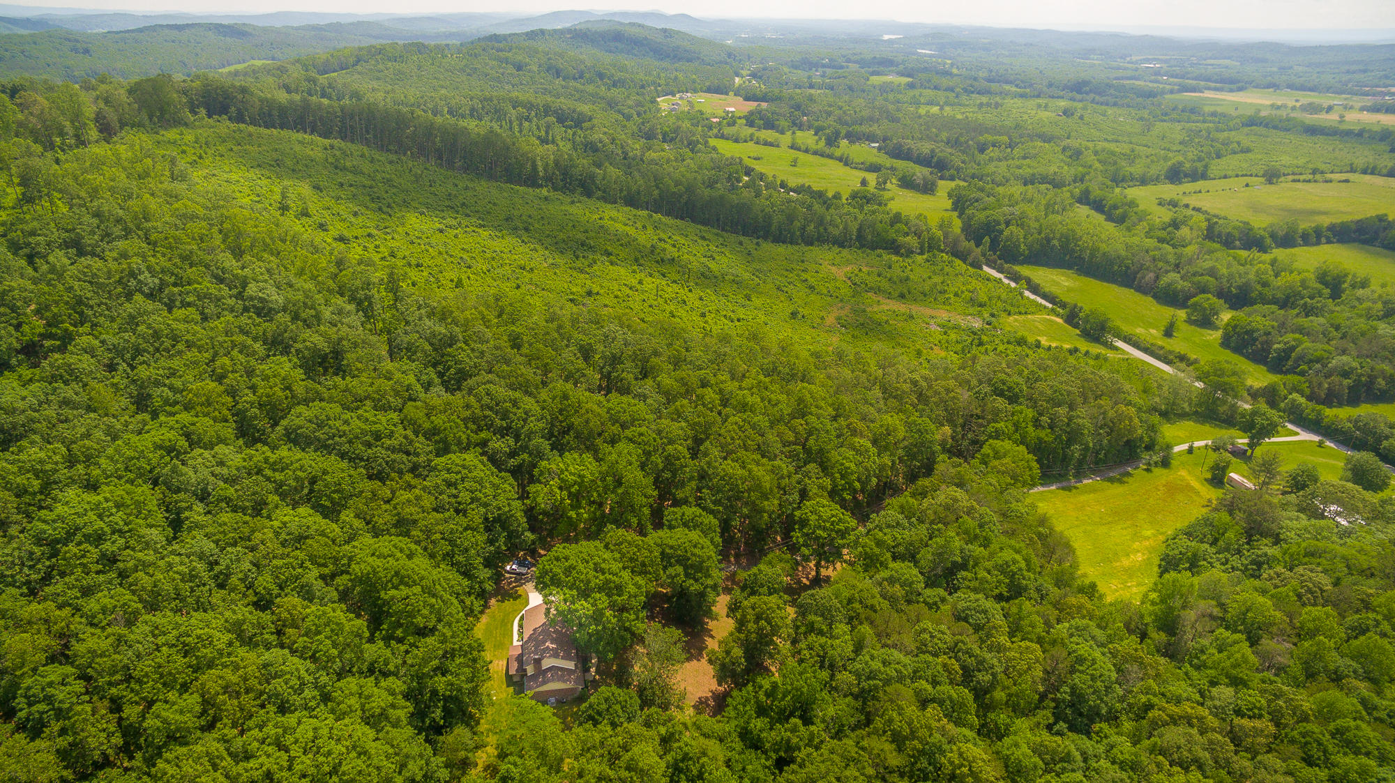 1656 Agency Creek Road Decatur, TN 37322 - Photo 70 of 72 1656 Mt. Carmel Road-109